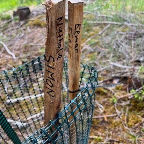 Im Rahmen des Biologieunterrichts durften die Schülerinnen und Schüler der 3. Klassen einen spannenden und lehrreichen Waldtag erleben. Begleitet wurde das Projekt von ihren Lehrerinnen Frau Baldauf, Frau Dilitz, Frau Juen und Frau Patsch. Organisiert wurde die Veranstaltung im Zuge des Projekts „KLAR! – Vorbereitet auf die Klimakrise“, das österreichweit zahlreiche Gemeinden bei der Anpassung an die Folgen des Klimawandels unterstützt. Denn schon heute sind viele Regionen Österreichs, so auch der Bezirk La