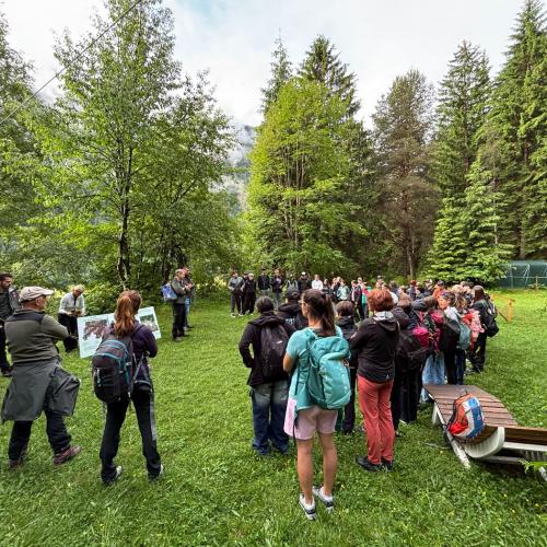 Im Rahmen des Biologieunterrichts durften die Schülerinnen und Schüler der 3. Klassen einen spannenden und lehrreichen Waldtag erleben. Begleitet wurde das Projekt von ihren Lehrerinnen Frau Baldauf, Frau Dilitz, Frau Juen und Frau Patsch. Organisiert wurde die Veranstaltung im Zuge des Projekts „KLAR! – Vorbereitet auf die Klimakrise“, das österreichweit zahlreiche Gemeinden bei der Anpassung an die Folgen des Klimawandels unterstützt. Denn schon heute sind viele Regionen Österreichs, so auch der Bezirk La