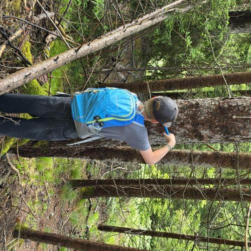 Im Rahmen des Biologieunterrichts durften die Schülerinnen und Schüler der 3. Klassen einen spannenden und lehrreichen Waldtag erleben. Begleitet wurde das Projekt von ihren Lehrerinnen Frau Baldauf, Frau Dilitz, Frau Juen und Frau Patsch. Organisiert wurde die Veranstaltung im Zuge des Projekts „KLAR! – Vorbereitet auf die Klimakrise“, das österreichweit zahlreiche Gemeinden bei der Anpassung an die Folgen des Klimawandels unterstützt. Denn schon heute sind viele Regionen Österreichs, so auch der Bezirk La