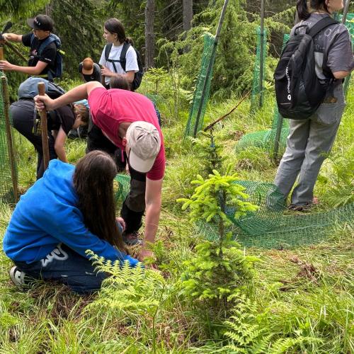 Im Rahmen des Biologieunterrichts durften die Schülerinnen und Schüler der 3. Klassen einen spannenden und lehrreichen Waldtag erleben. Begleitet wurde das Projekt von ihren Lehrerinnen Frau Baldauf, Frau Dilitz, Frau Juen und Frau Patsch. Organisiert wurde die Veranstaltung im Zuge des Projekts „KLAR! – Vorbereitet auf die Klimakrise“, das österreichweit zahlreiche Gemeinden bei der Anpassung an die Folgen des Klimawandels unterstützt. Denn schon heute sind viele Regionen Österreichs, so auch der Bezirk La