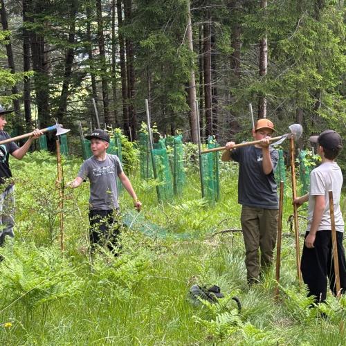 Im Rahmen des Biologieunterrichts durften die Schülerinnen und Schüler der 3. Klassen einen spannenden und lehrreichen Waldtag erleben. Begleitet wurde das Projekt von ihren Lehrerinnen Frau Baldauf, Frau Dilitz, Frau Juen und Frau Patsch. Organisiert wurde die Veranstaltung im Zuge des Projekts „KLAR! – Vorbereitet auf die Klimakrise“, das österreichweit zahlreiche Gemeinden bei der Anpassung an die Folgen des Klimawandels unterstützt. Denn schon heute sind viele Regionen Österreichs, so auch der Bezirk La