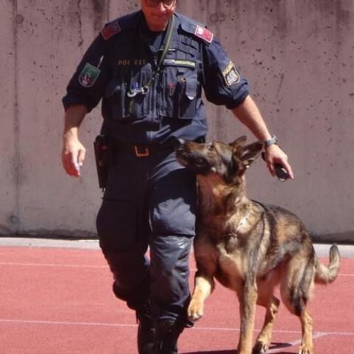 Projekttag mit Polizei, Rettung und Finanzbildung